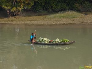 Bandladesz 100 300x225 - Sundarban