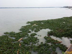 Bandladesz 166 300x225 - Sundarban