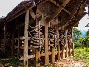 Indnonezja Sulawesi Toraja celebes indonesia tradycyjnye domy toradzow 17 300x225 - Sulawesi