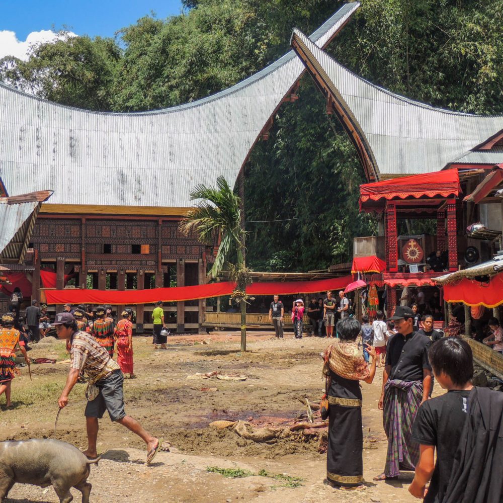 Indnonezja Sulawesi Toraja pogrzeby celebes 3 1000x1000 - Ankieta