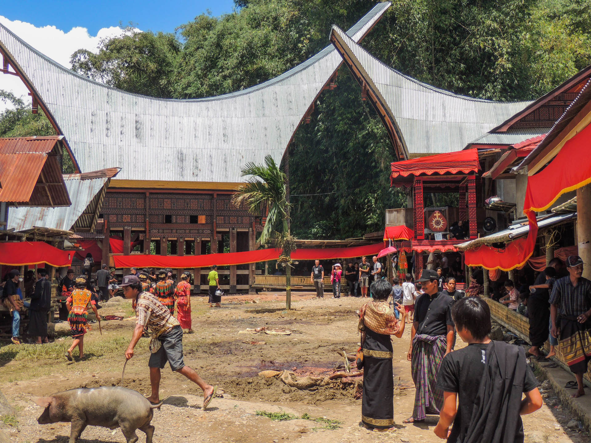 Indnonezja Sulawesi Toraja pogrzeby celebes 3 - Pojemnik na czosnek z Sumatry