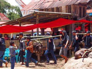Indnonezja Sulawesi Toraja pogrzeby funeral indonesia celebes 13 300x225 - Sulawesi