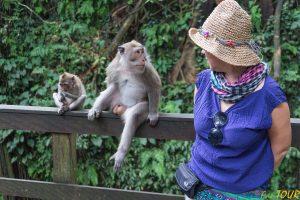 Indonezja bali monkey forest ubud 7 300x200 - Bali
