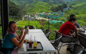 Malezja Cameroh Highlands herbata plantacja restauracja 300x187 - Podgrzewacz Malezyjskich Dusz: herbata