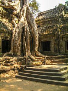 Kambodza cambodia Angkor wat 08 225x300 - Angkor Wat