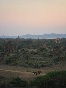 Birma Bagan 32 225x300 - Bagan