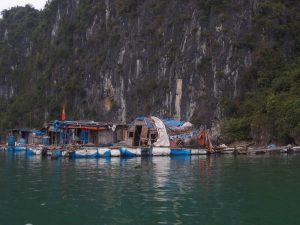 Wietnam Vietnam Ha Long Bay Zatoka floating village pływająca wioska 1 300x225 - Ha Long Bay