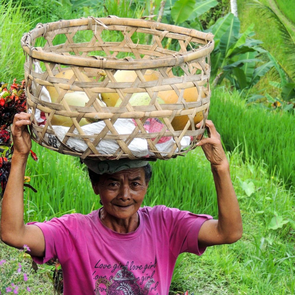 Indonezja Indonesia Bal Ubud pola ryżowe 1000x1000 - Ankieta