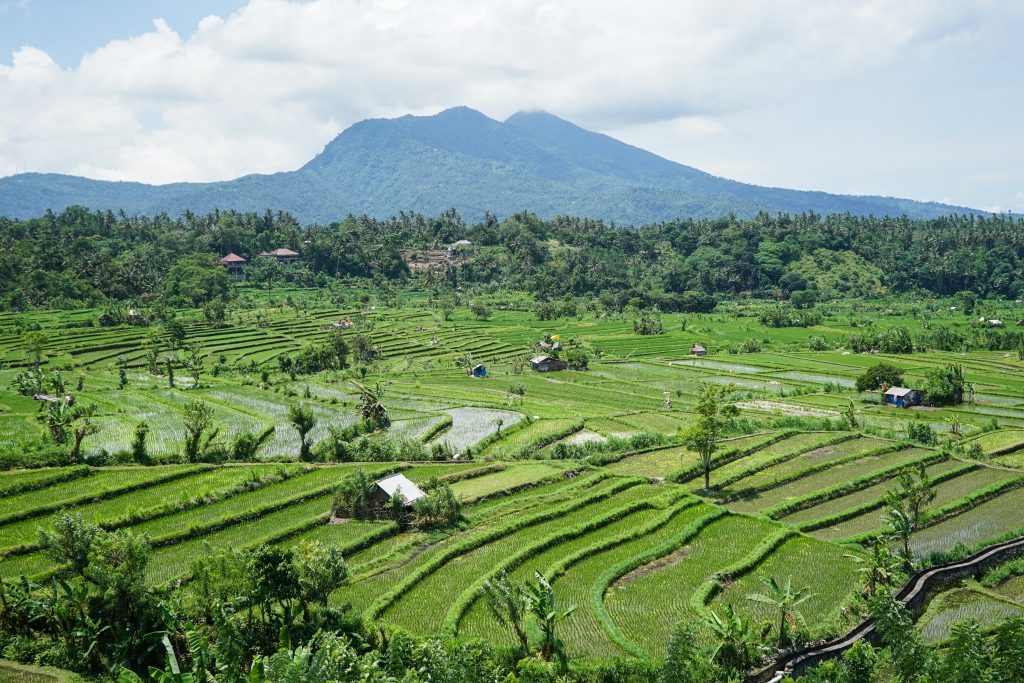 bali wies pola ryzowe 1024x683 - Bali – raj dla oka, zmysłów, duszy i ciała