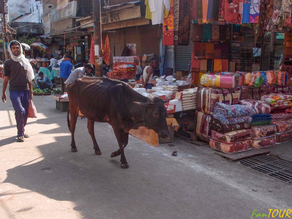 Indie Varanasi 224 1024x769 - Fenomen Wybranych Azjatyckich ulic. Main Bazar. Paharganj.