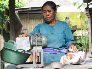Bali produkcja oleju kokosowego 1 300x225 - Wsi Spokojna i Wesoła