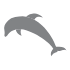 delfin ikona - Natura Bali