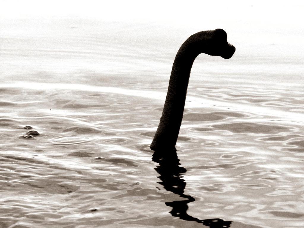 Loch Ness Potwór 1024x768 - W poszukiwaniu potwora z Loch Ness