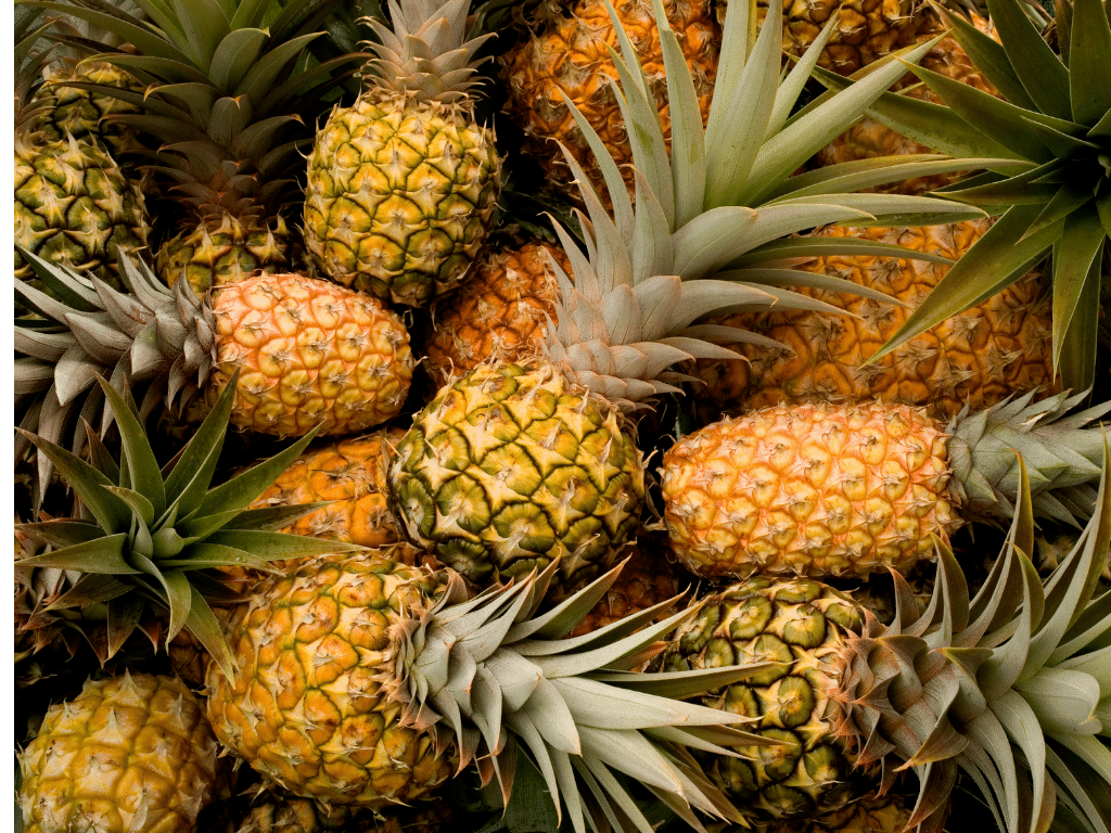 Egzotyczne owoce: ananasy